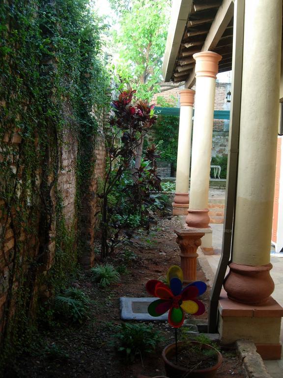 Panambi Hostel Ασουνσιόν Εξωτερικό φωτογραφία