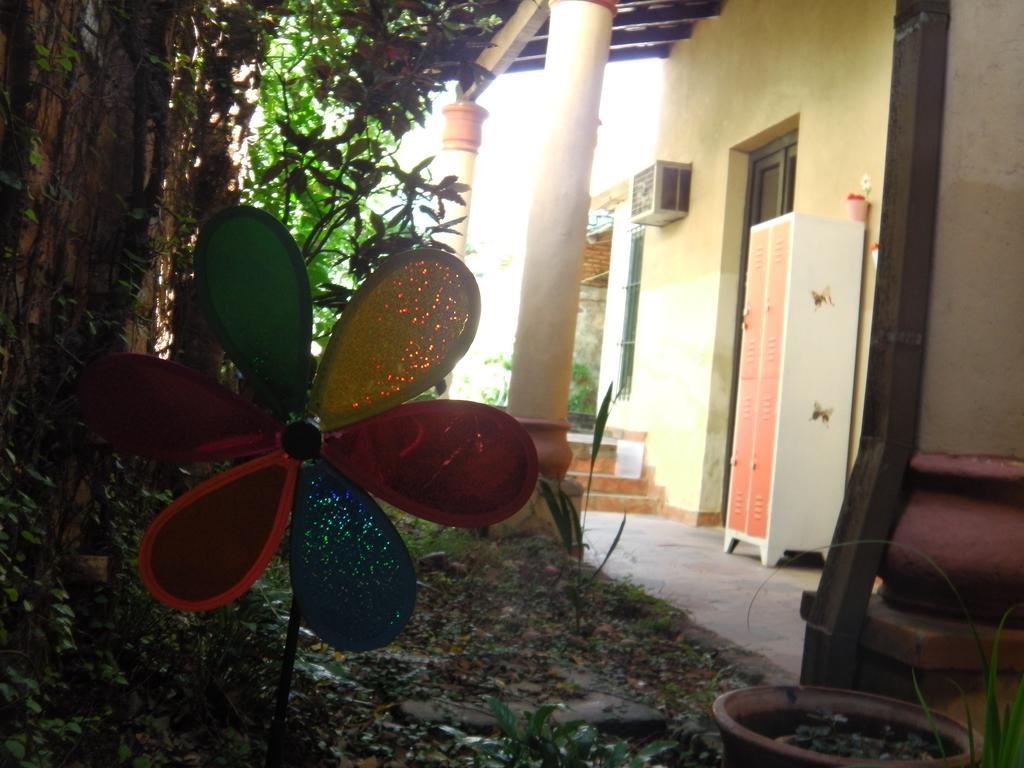 Panambi Hostel Ασουνσιόν Εξωτερικό φωτογραφία